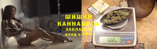 соль ск Нея