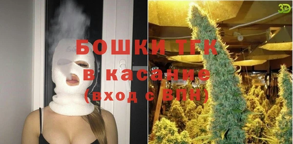 соль ск Нея