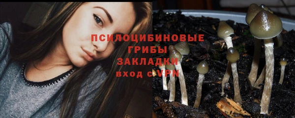 кокс Нефтекумск