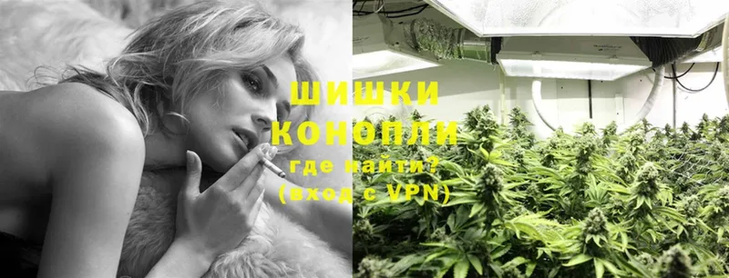 где продают наркотики  MEGA рабочий сайт  Конопля сатива  Кологрив 